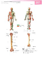 Sobotta Atlas of Human Anatomy  Head,Neck,Upper Limb Volume1 2006, page 14
